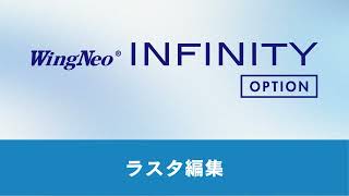 INFINITYオプション：ラスタ編集