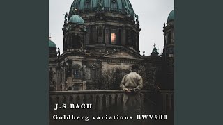 Goldberg Variations in G Major BWV 988: Variation 19 a 1 Clav.