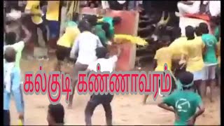 கல்குடி கண்ணாவரம் | அருமையான காங்கேயம் காளை |