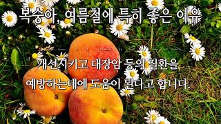 #복숭아,여름철에 특히 좋은 이유1