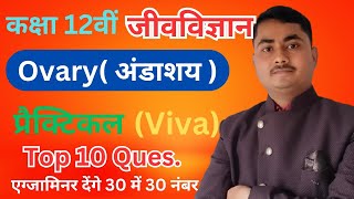 12th Biology Practical Viva | Ovary par viva question class 12 | andashay ( अंडाशय )