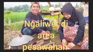 mantap ngaliwet ala Sunda asli di tengah2 pesawahan yg bikin makan jadi lahap