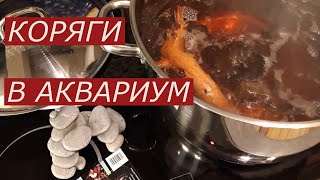 Как сварить корягу для аквариума