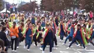 リゾンなるこ会飛鳥／第②会場／第11回つるせよさこい祭り 2016