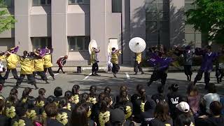 福井大学 よっしゃこい 2019 耀冥 酔踊祭 Ｂチーム