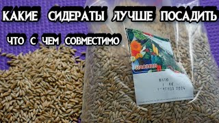 КАКИЕ СИДЕРАТЫ ПОСАДИТЬ - Лучшие Сидераты Для Огорода - Как и Когда Садить Сидераты