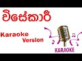 Visekari Karaoke (without voice ) original