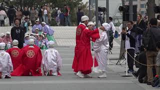 TACYON　第18回ドリーム夜さ来い祭り　2日目　ダイバーシティ東京プラザ前会場　2019年11月3日日