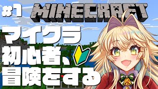 マイクラ初心者、冒険する🔰#1【#minecraft 】