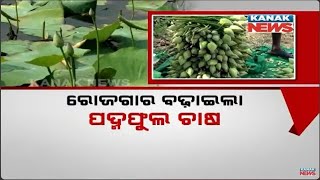 Bazaar Halchaal: Transforming Farming With Lotus Cultivation | Sujal Majhi Success Story, Patnagarh