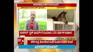 230 Year History : Kunigal Stud Farm Maintainence Is Under Difficult Condition | ಸುದ್ದಿ ಟಿವಿ