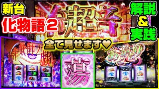 【化物語２】超倍倍チャンス！蕩！詐欺師ノ戯レ！あとがたり！？見せ場 特盛ッ！新台実践【Ｓ物語シリーズセカンドシーズン】