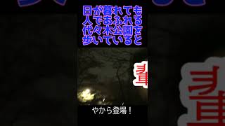 輩に遭遇! 夜の代々木公園にて【ハプニング動画】 #やから #代々木公園 #ハプニング #shorts