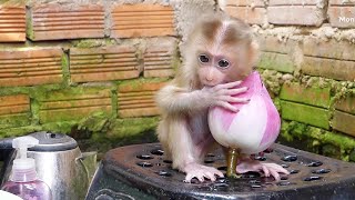 Very Cute Little Zuji Sitting Hug Lotus Flower Look Mom Put Flowers In Pool