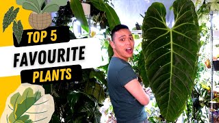 TOP 5 FAVOURTE PLANTS 💚| MARCH 2022 | Philodendron Jose Buono, Anthurium Metallicum, Hoya, Orchid 😍