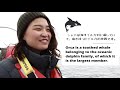 【感動】世界自然遺産の知床でシャチとワシを大発見｜wild killer whale and eagle in shretoko rausu｜travel hokkaido｜tentoten tv