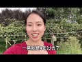 小夫妻太热爱自己的家乡！做电商被夸助农，其实是农业成就返乡人