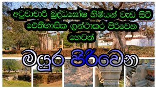 Mayura Piriwena, Anuradhapura || මයුර පිරිවෙන, අනුරාධපුර