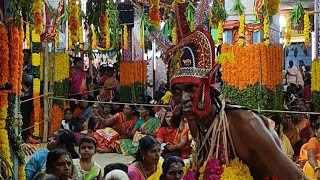 இவ்வளவு பிரமாண்டமான கோவிலில் ஒரே ஒரு சாமி மட்டுமே ஆடும் ஆசாத் நகர் ஊய்காடு சுடலை 😳