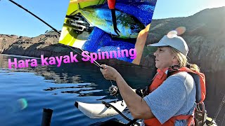 Τα ψάρια της καλντέρας - Caldera Santorini fish- Kayak Spinning @sotosvasi