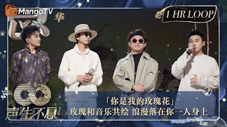 【声生不息·华音循环】｜ #谭维维 #额尔古纳乐队《#你是我的玫瑰花》没有这首歌的爱情是不完整的！ ｜Enjoy Your 1hr Loop｜#声生不息家年华｜MangoTV