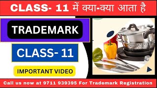 Trademark class 11| Trademark Class 11 में क्या क्या आता है | Trademark class 11 Detailed video