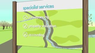 How DIYprobate will help you
