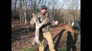 Predator Hunting--"tc Style"