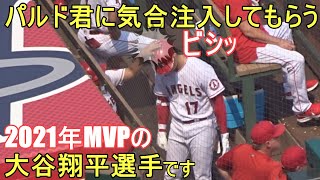 ボールボーイのパルド君に気合注入してもらう！【大谷翔平選手】ダグアウトの様子 Shohei Ohtani At Dugout vs Tigers 2022