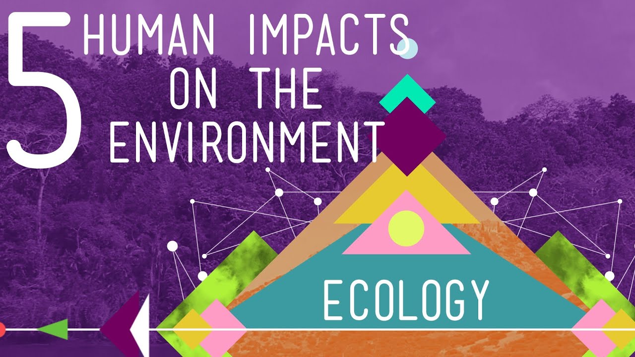 5 Human Impacts On The Environment: Crash Course Ecology #10 - YouTube