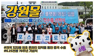 이거 하나면 2020년 6월의 강원도 완전정복! 강원도 뉴스~ 몰아보기!