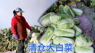 【胖嫂show】胖嫂清仓白菜，咔咔揪叶子，白菜让胖嫂一顿收拾，那叶揪得我心疼