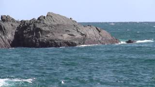 江須崎の磯　潮場の長島（シオバノナガシマ）