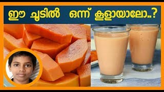 മനസ്സ് തണുപ്പിക്കാൻ പപ്പായ ഷെയ്ക്ക് | Papaya Shake | Rishil.B (4.E)