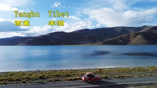 6月12日 Yanghu, Tibet 西藏 羊湖