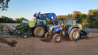 Planting Strawberries on my You-Pick Farm!