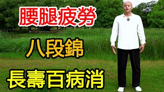 【八段锦全集】腰腿疲勞，失眠煩躁，健身气功“八段锦”，通全身经络，腰好腿好百病消！【武醫張鵬養生】