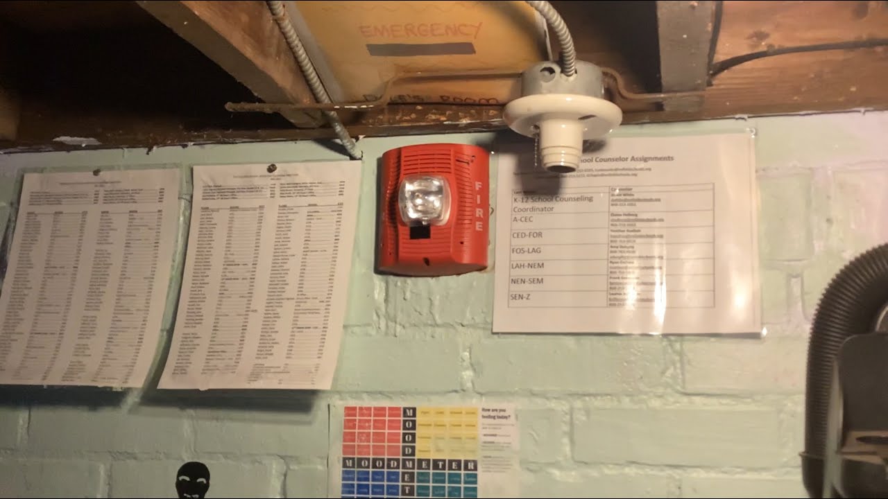 Testing My Fire Alarms Youtube