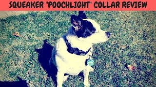 Squeaker Poochlight Light Up Flashing Dog Collar Review | LED Collar