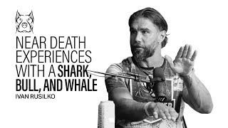 Near Death Experiences with a Shark, Bull, and Whale | Discussing Offensive Terminology and Myths