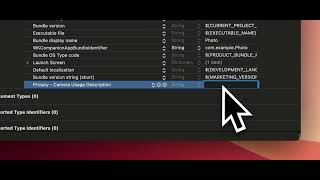 XCode enabling camera access