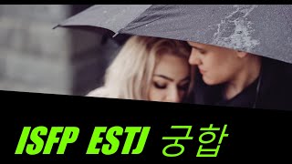 MBTI 유형별 궁합 - ISFP 와 ESTJ 의 궁합