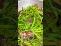 ត្រីបំពងឆាត្រកួន fried fish with water convolvulus