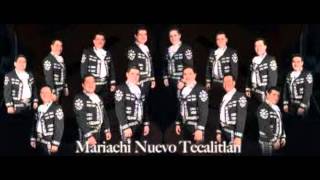 el gavilancillo mariachi nuevo tecalitlan