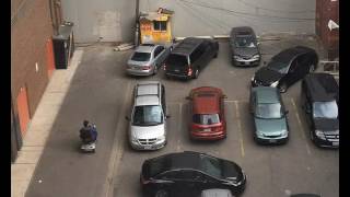 Parking lot fiasco in Toronto - video by mermaidjoy/Imgur