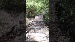 Muthupettai Boatyard #travel #forest #mangrove