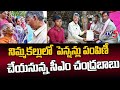 CM Chandrababu To Distribute NTR Bharosa Pensions To Benficiaries In NImmakallu | TV5 News