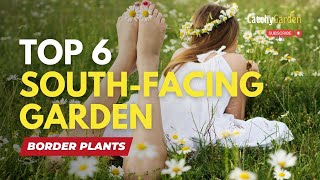 Top 6 South Facing Garden Border Plants 🌻🌿🌷 // Gardening Tips