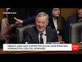 must watch john kennedy rapid fire peppers biden judicial nominee with question after question