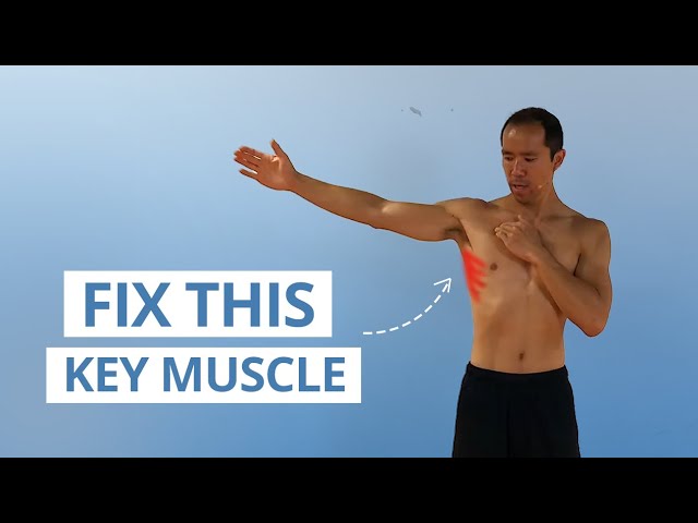 Serratus Anterior Exercises At Home